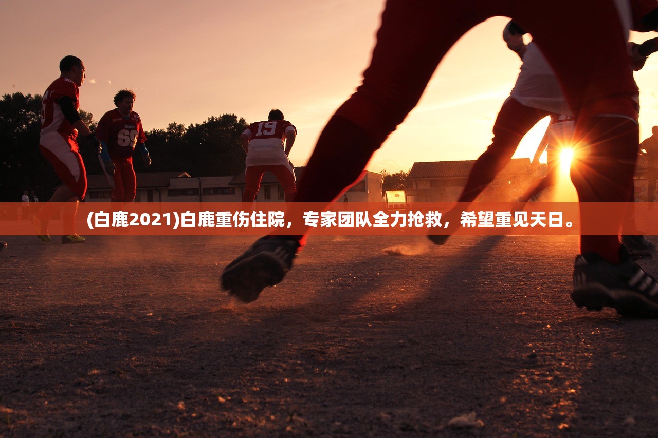 (白鹿2021)白鹿重伤住院，专家团队全力抢救，希望重见天日。