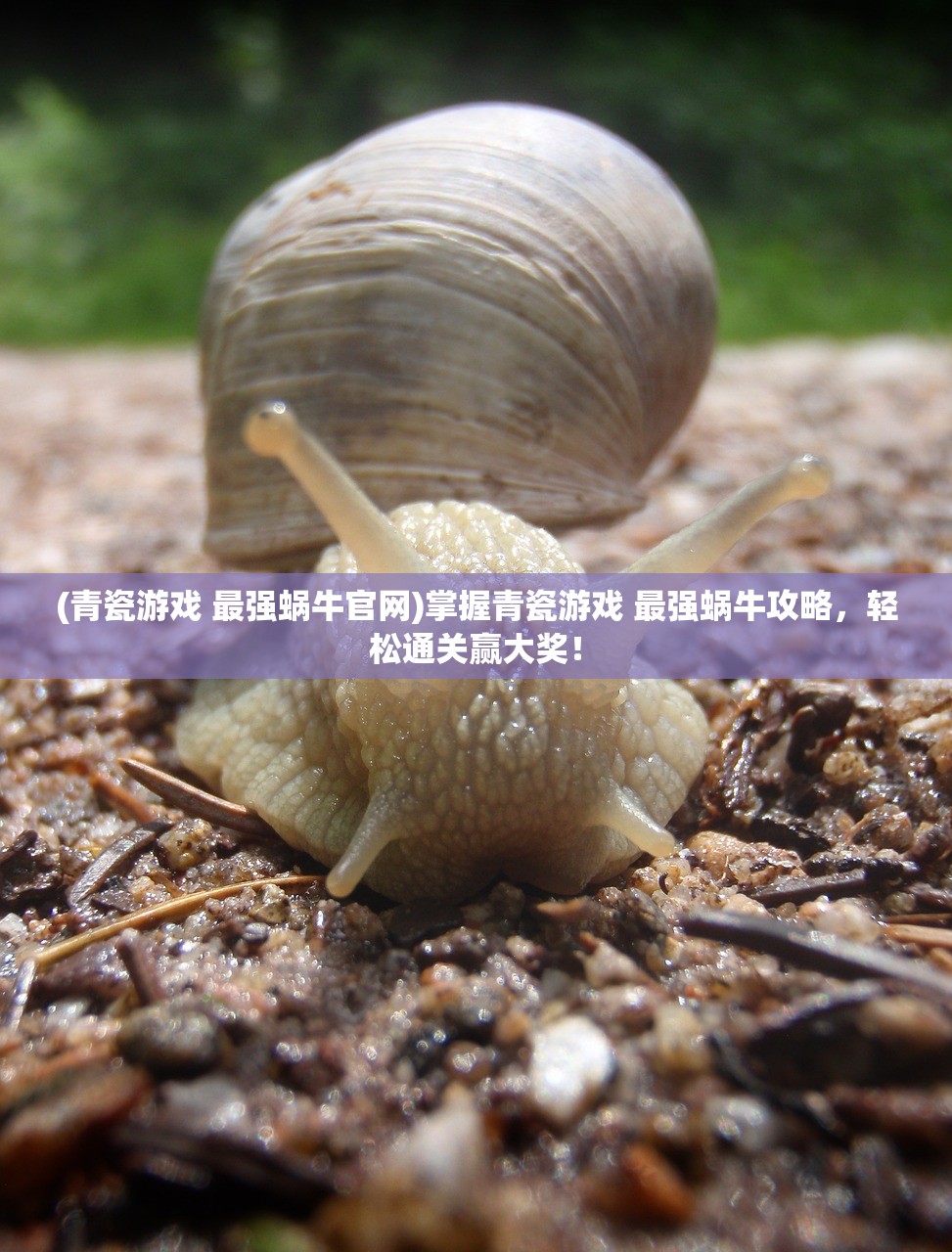 (秦时明月最强高手)秦时明月最强者：无敌神话在世，风云再起，震撼天地！」