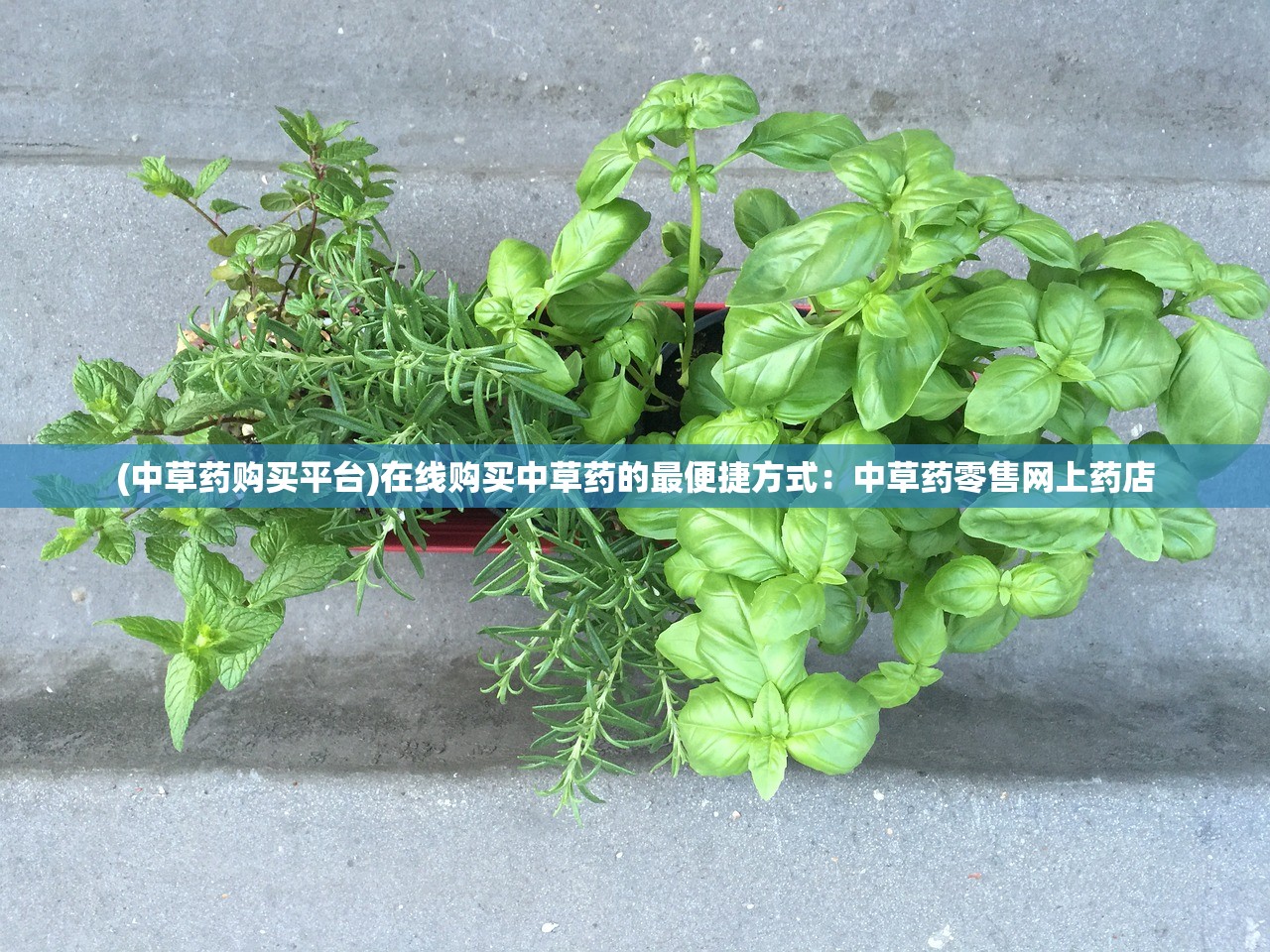 (卡巴1217)卡巴戈豪车盛宴：豪车飙速极限之夜