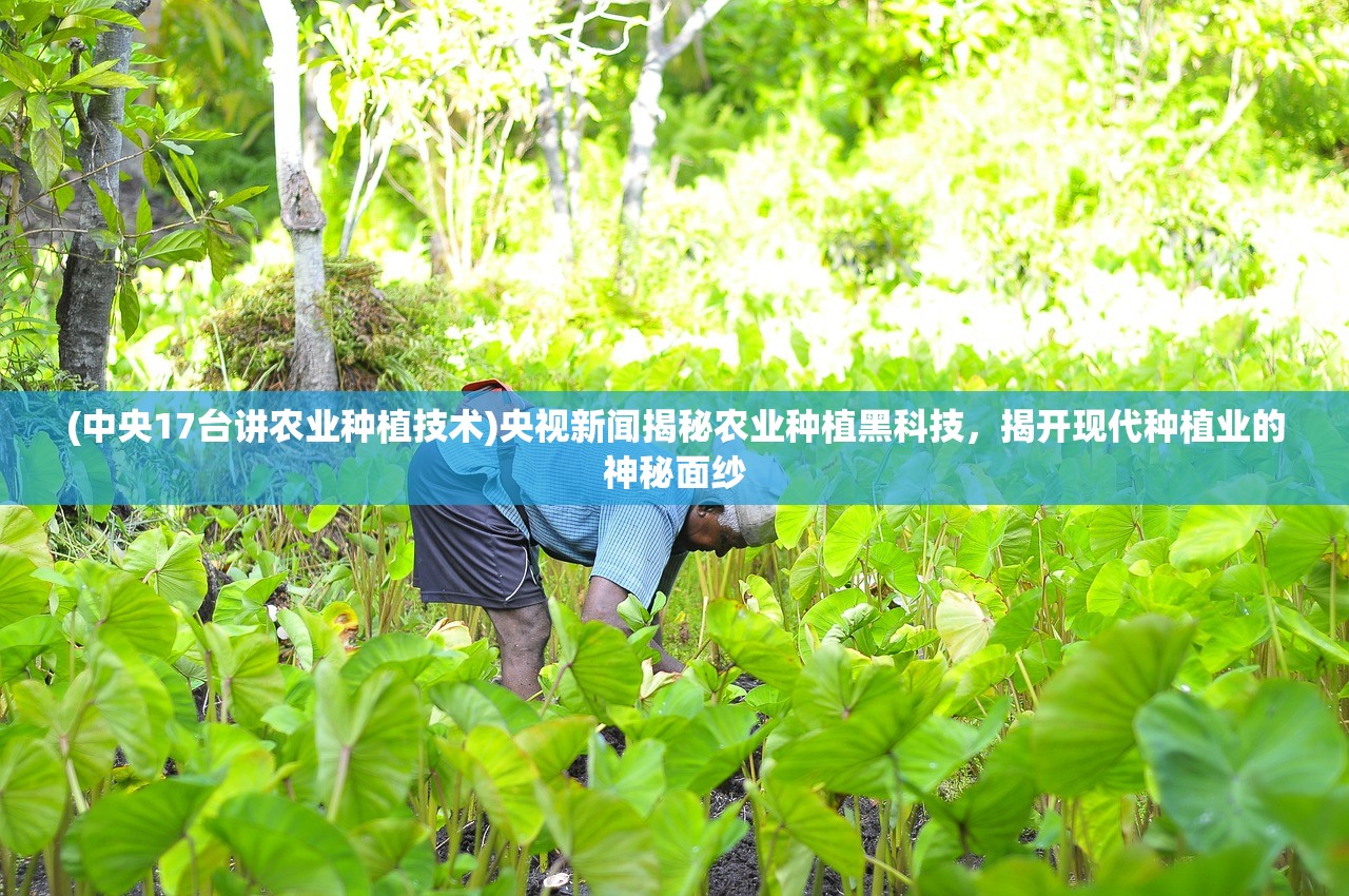 (诗歌逃离人间,飞向遥远的未来之门歌谱)诗歌逃离人间，飞向遥远的未来之门