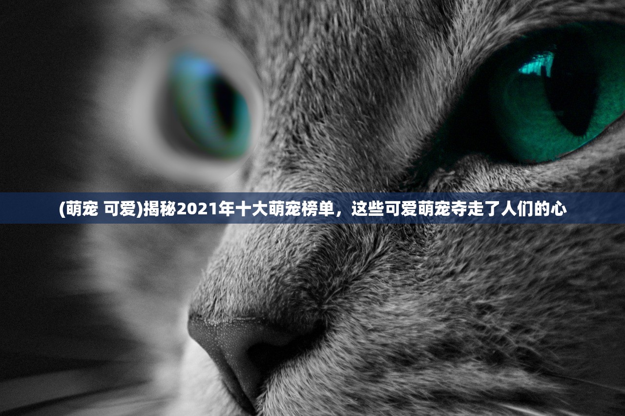 (和平精英免费开挂的软件真实有效)关于和平精英免费开挂软件，深度解析与常见问题解答