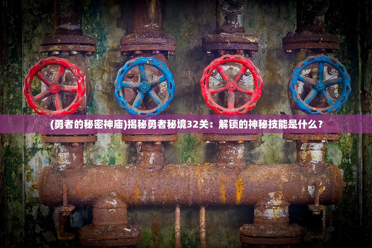 四肖八肖期期准资料精选|探寻幸运密码与生活智慧_定时集.3.758