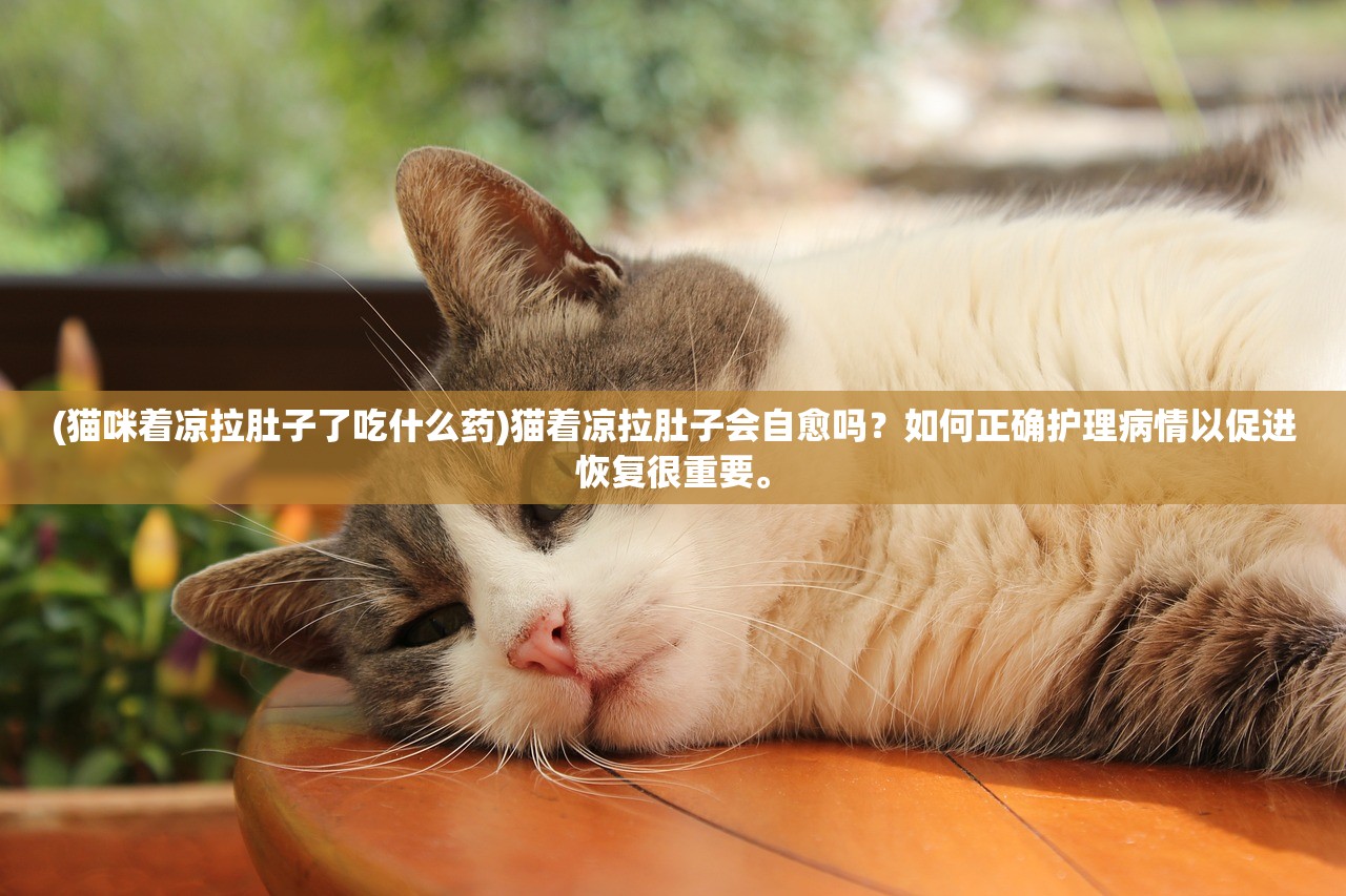 (迷雾之夏手游攻略)迷雾之夏手机版攻略大全及常见问答（FAQ）