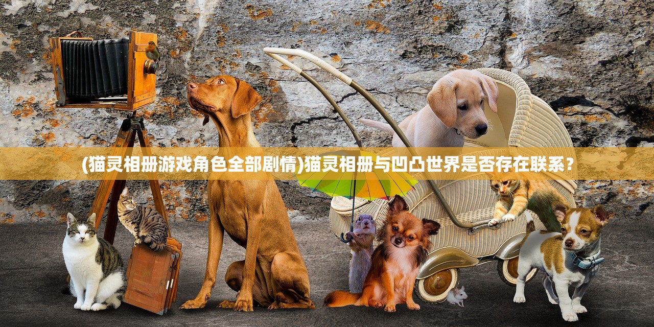 (不思议迷宫安洁莉亚的试炼攻略必过)探秘不思议迷宫：与安洁莉亚组合的冒险之旅