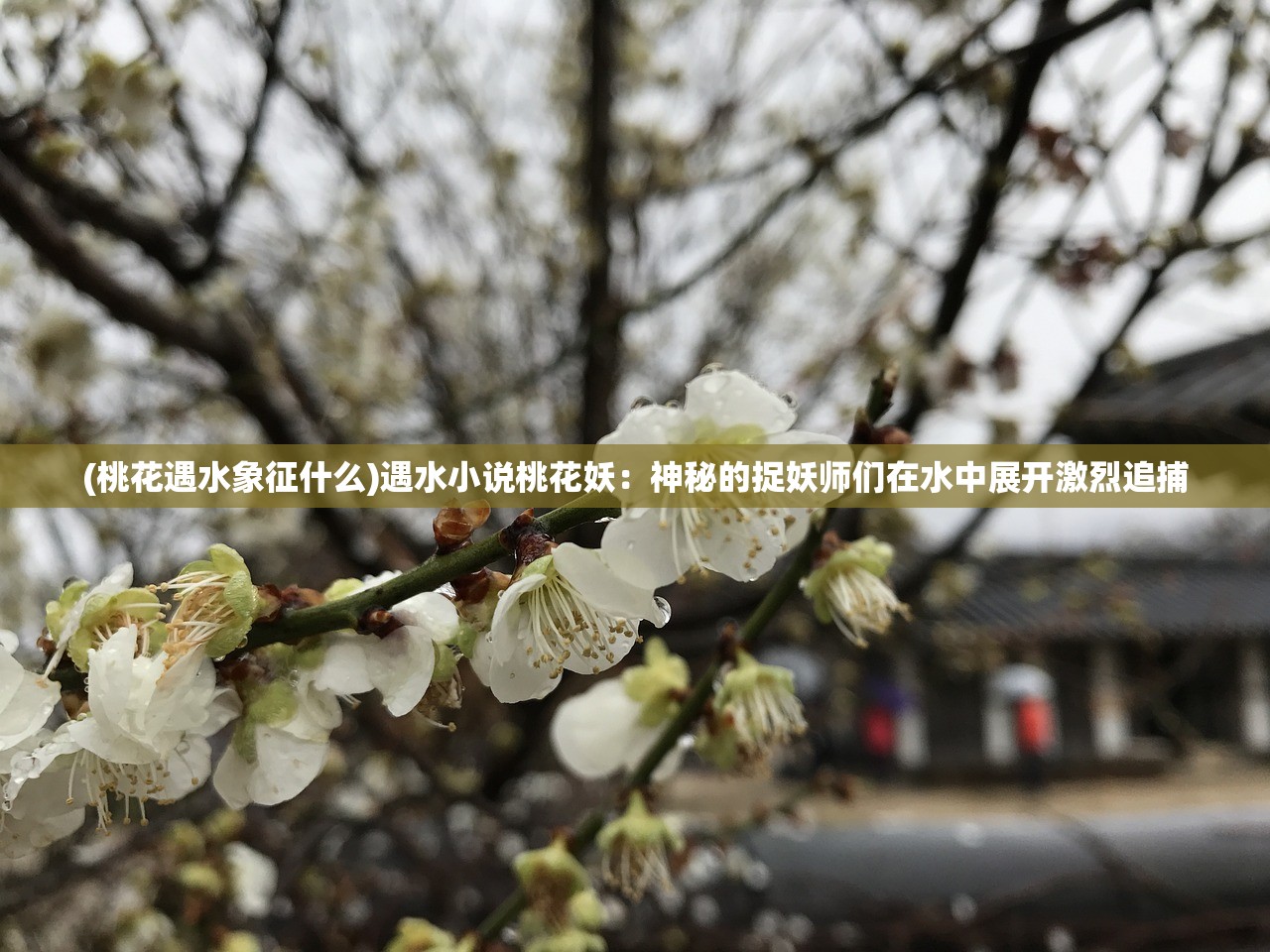(桃花遇水象征什么)遇水小说桃花妖：神秘的捉妖师们在水中展开激烈追捕