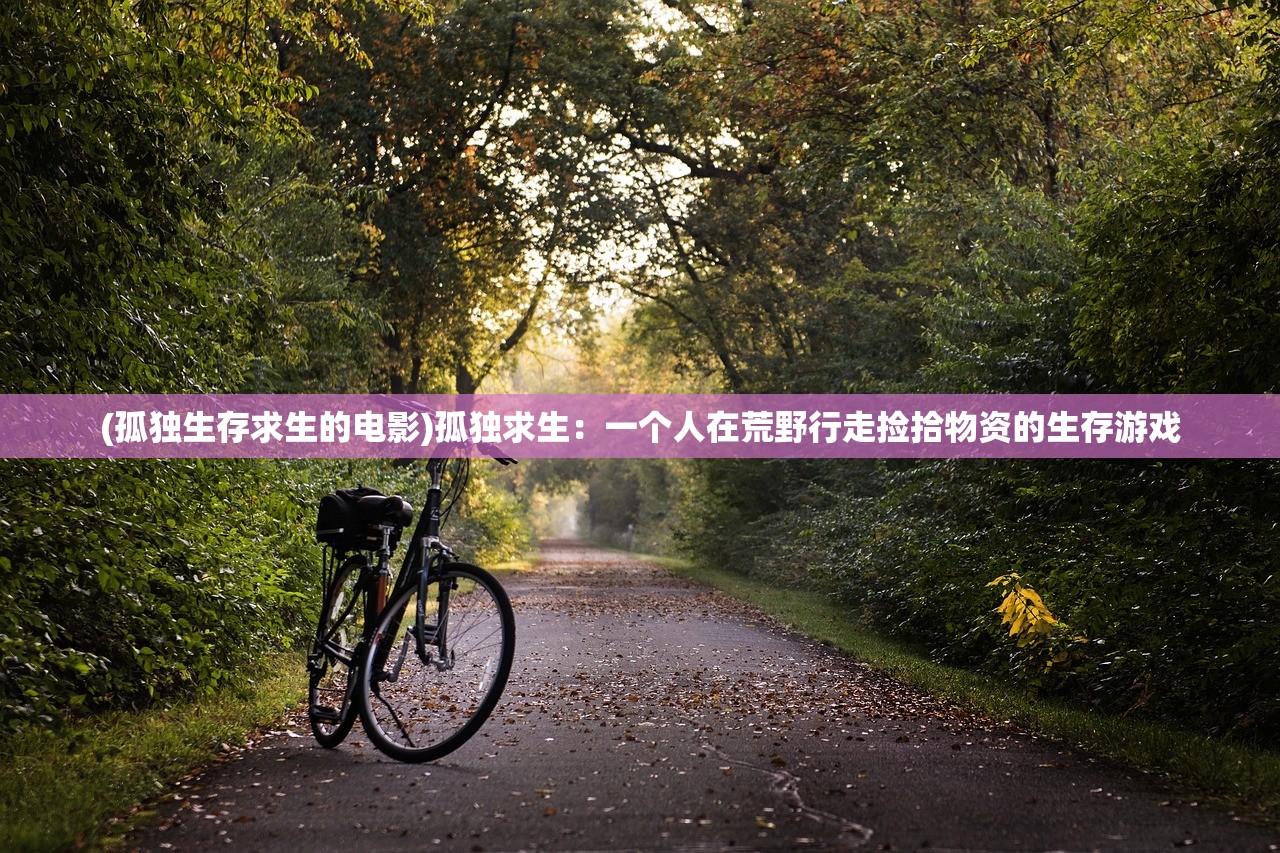 (孤独生存求生的电影)孤独求生：一个人在荒野行走捡拾物资的生存游戏