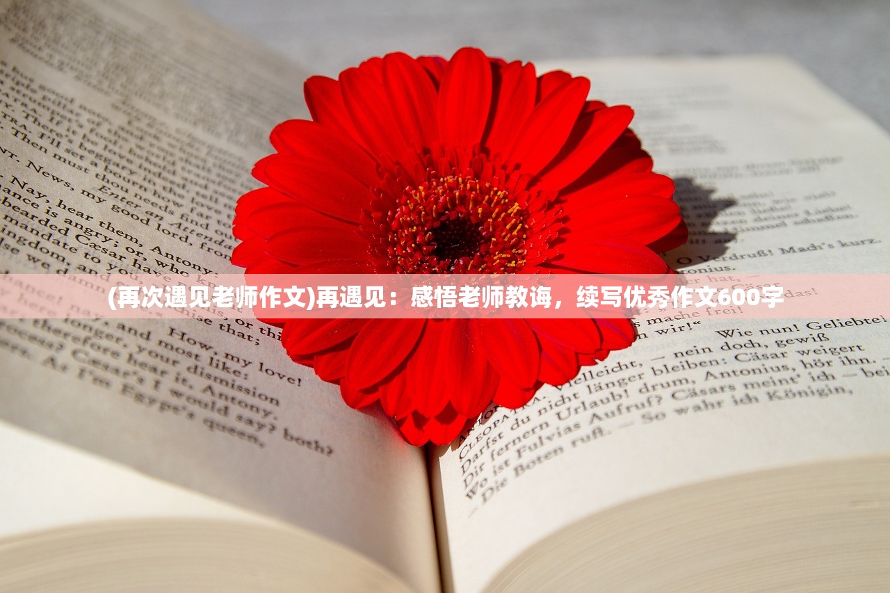 最准一肖一码100%最准软件|深入分析解释落实_实况款.1.24