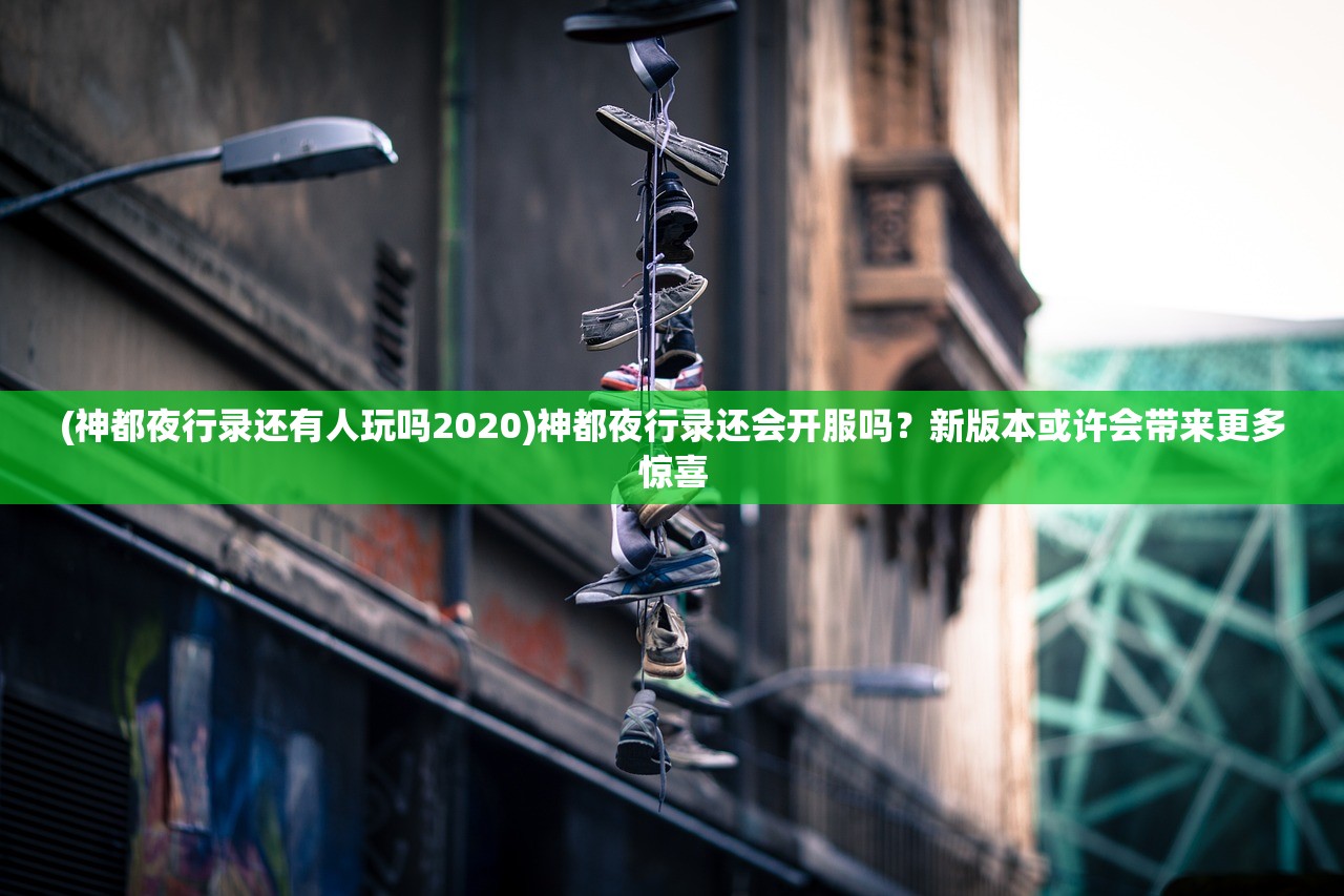 (猎人王h5)探索猎人王游戏中精彩丰富的内置菜单功能