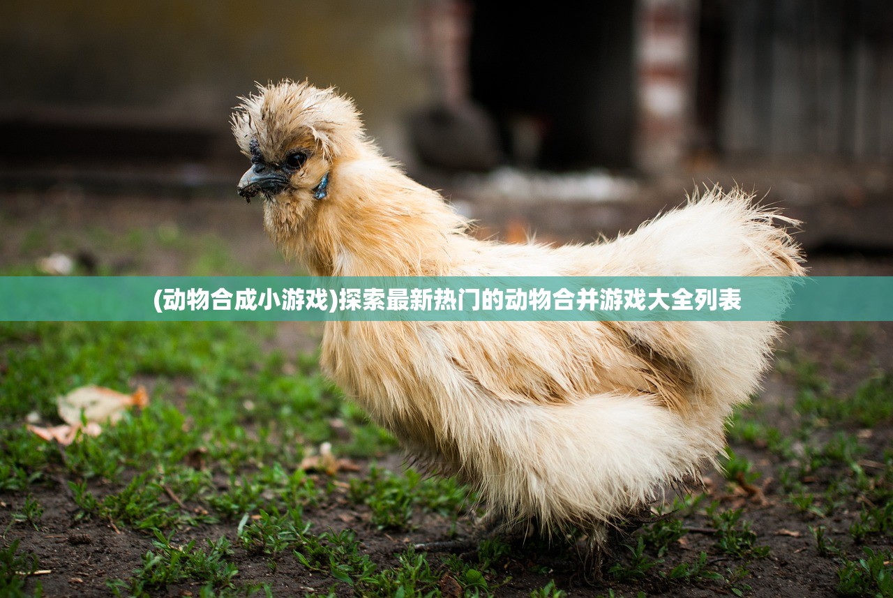 (火王带什么仙兽宠物)火王十大最值得培养的宠物:让你的生活注入炽热的活力 (火王带什么仙兽宠物)火王十大最值得培养的宠物:让你的生活注入炽热的活力