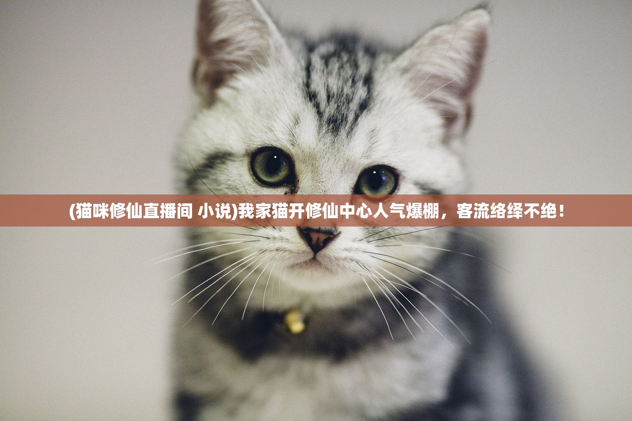 (重生成张绣的三国小说)重生三国之张绣：踏上逆袭之路，谱写新的传奇征程