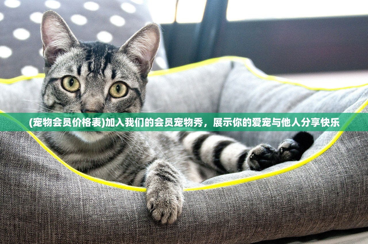 (延禧攻略番外6集视频)观看延禧攻略番外6集免费精彩揭秘，限时特惠！