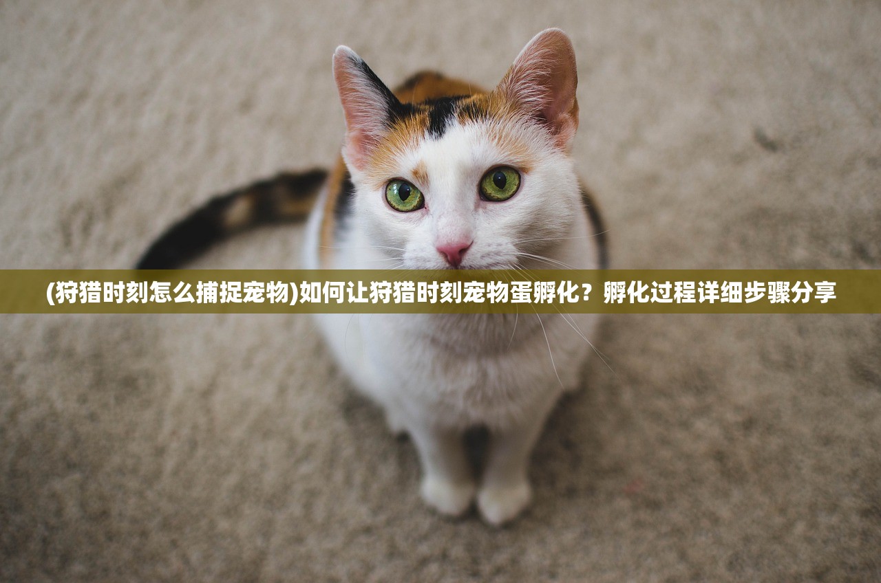 (穿越大唐:偶遇京城第一美女,命中注定的相遇)穿越大唐：偶遇京城第一美女，命中注定的相遇