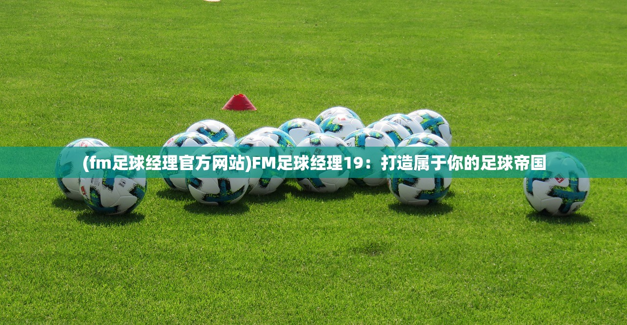 (fm足球经理官方网站)FM足球经理19：打造属于你的足球帝国