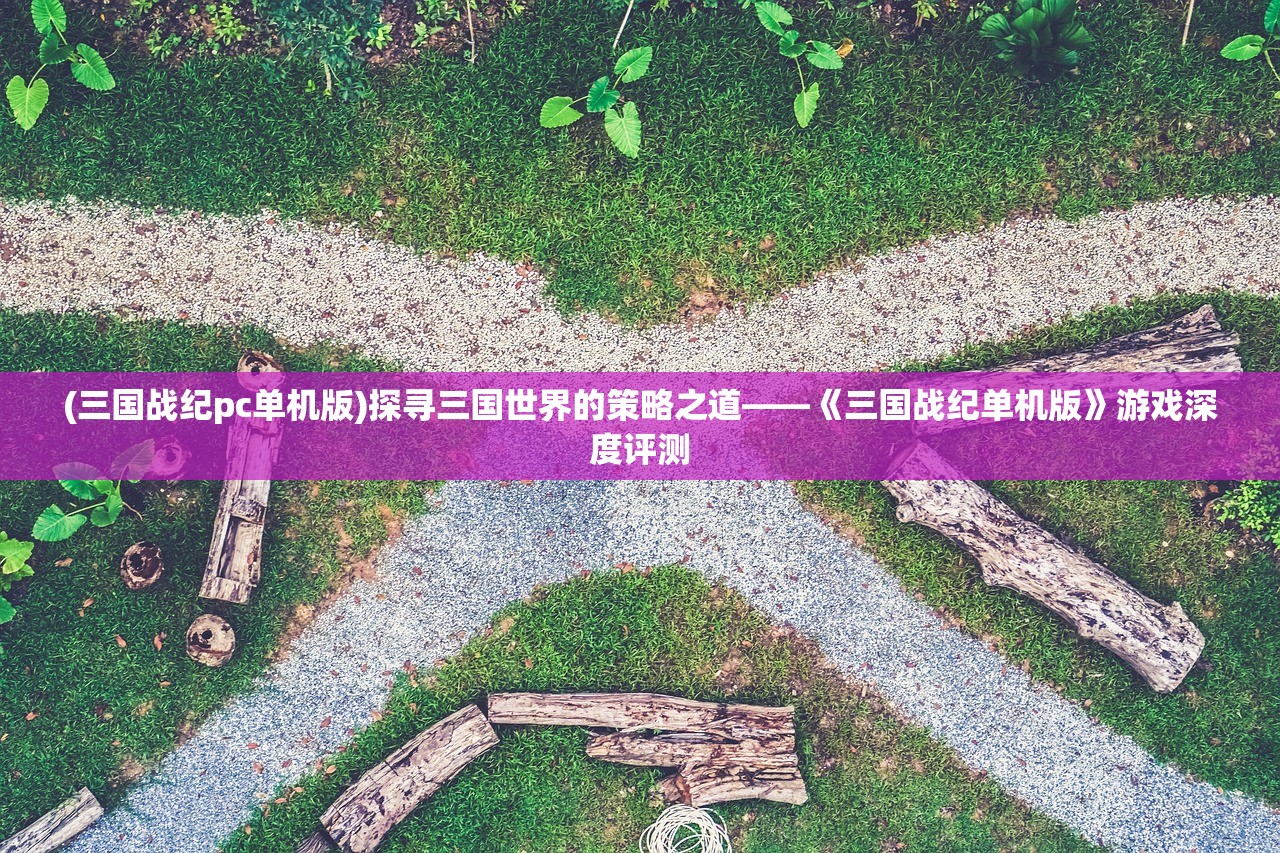(三国战纪pc单机版)探寻三国世界的策略之道——《三国战纪单机版》游戏深度评测