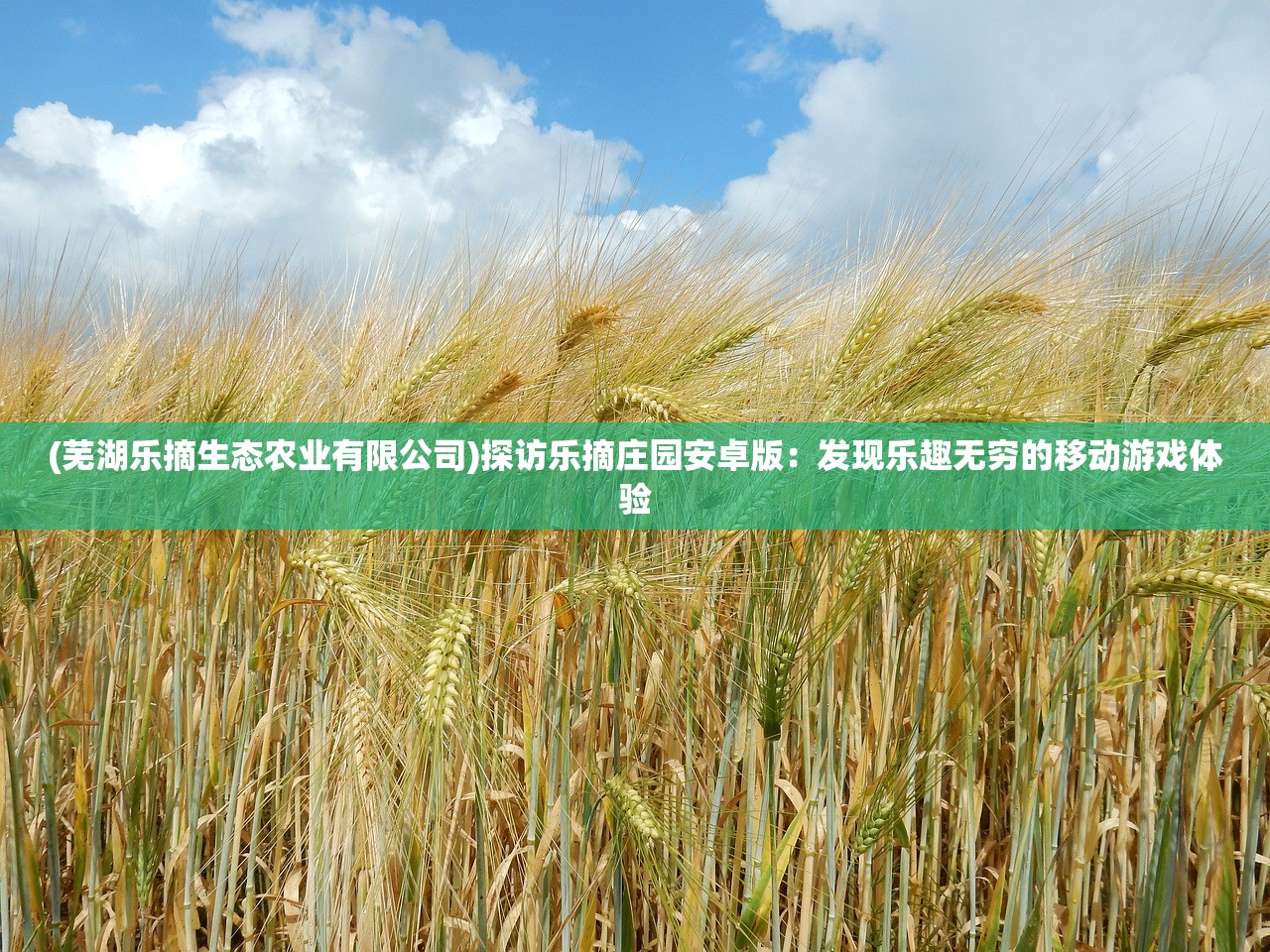 (钢岚新角色艾琳)钢岚新角色深度解析与探讨