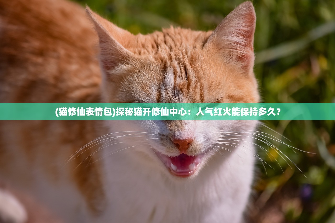 (寻仙千年等一回怎么得)寻仙千年等一回，跨越时空的仙踪之旅