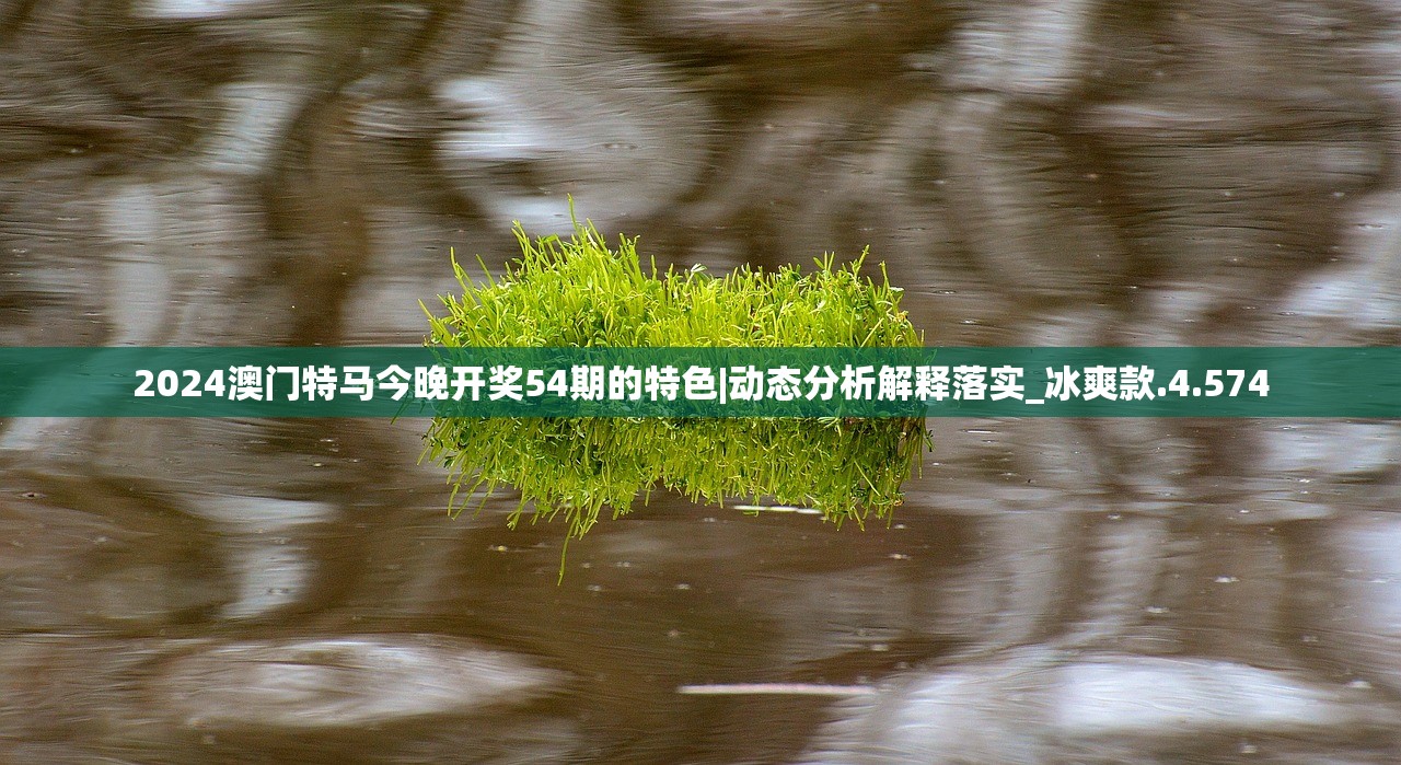 2024澳门特马今晚开奖54期的特色|动态分析解释落实_冰爽款.4.574
