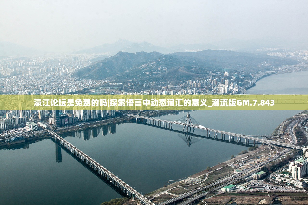 (游戏发展国ol单机版)游戏发展国OL修改版，深度探索与前瞻