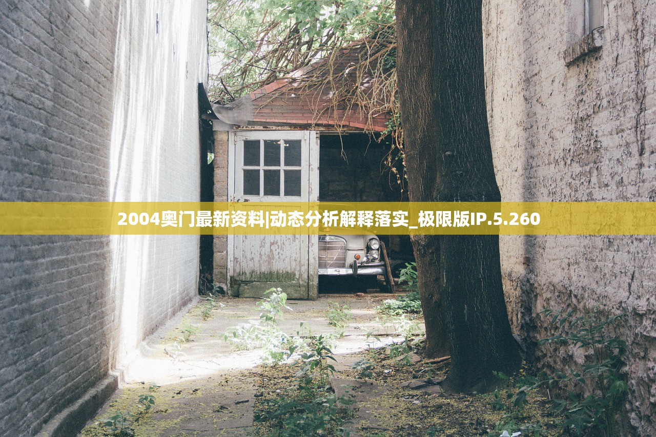 (三国无双小兵董白的一天)三国小兵无双董白，乱世中的英勇传奇