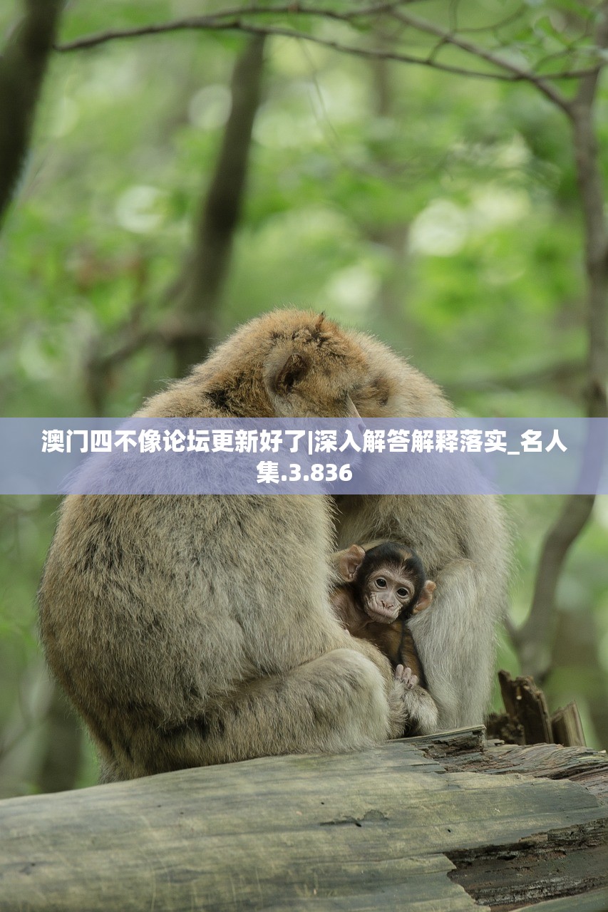 (神圣秘境在哪)探索神秘之境：圣灵之境官方正版下载提供安全快捷的游戏体验