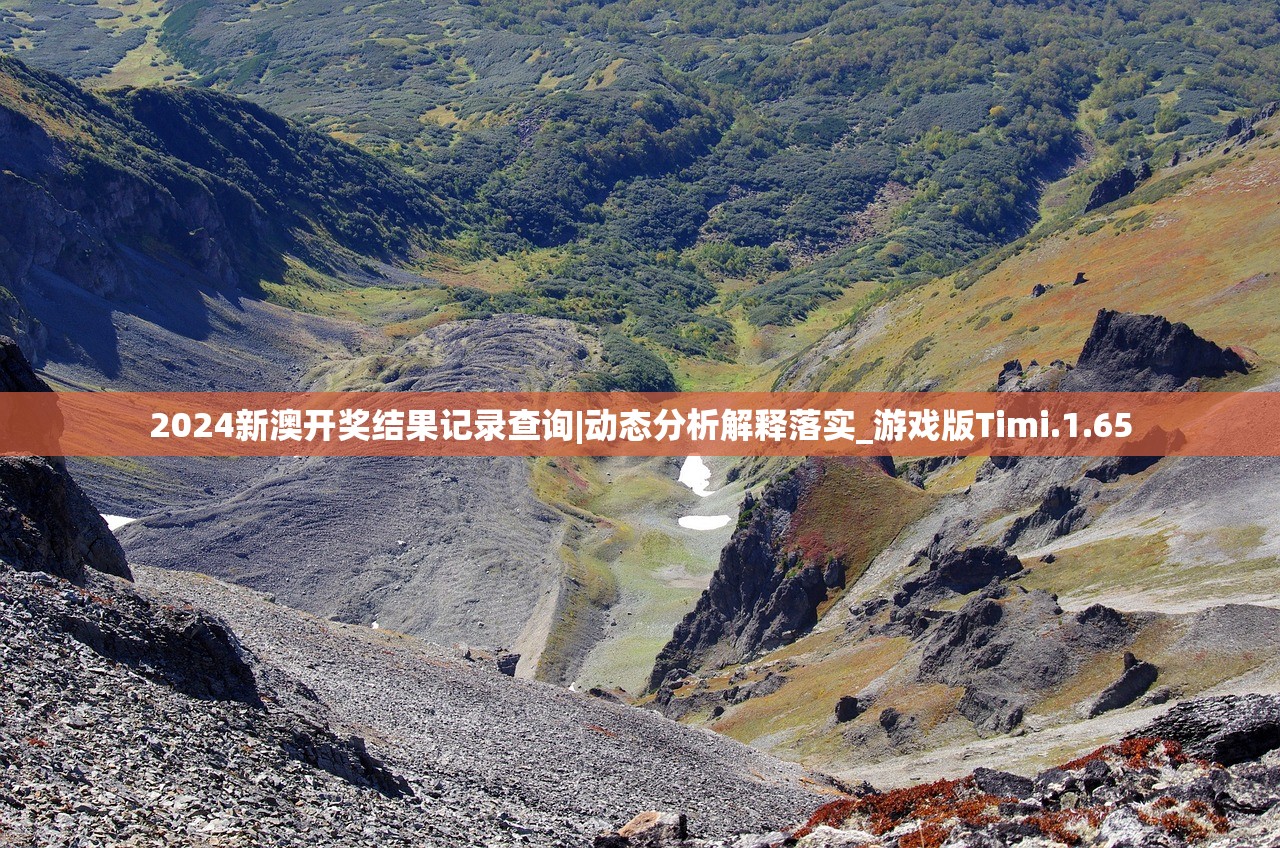 2024新澳开奖结果记录查询|动态分析解释落实_游戏版Timi.1.65