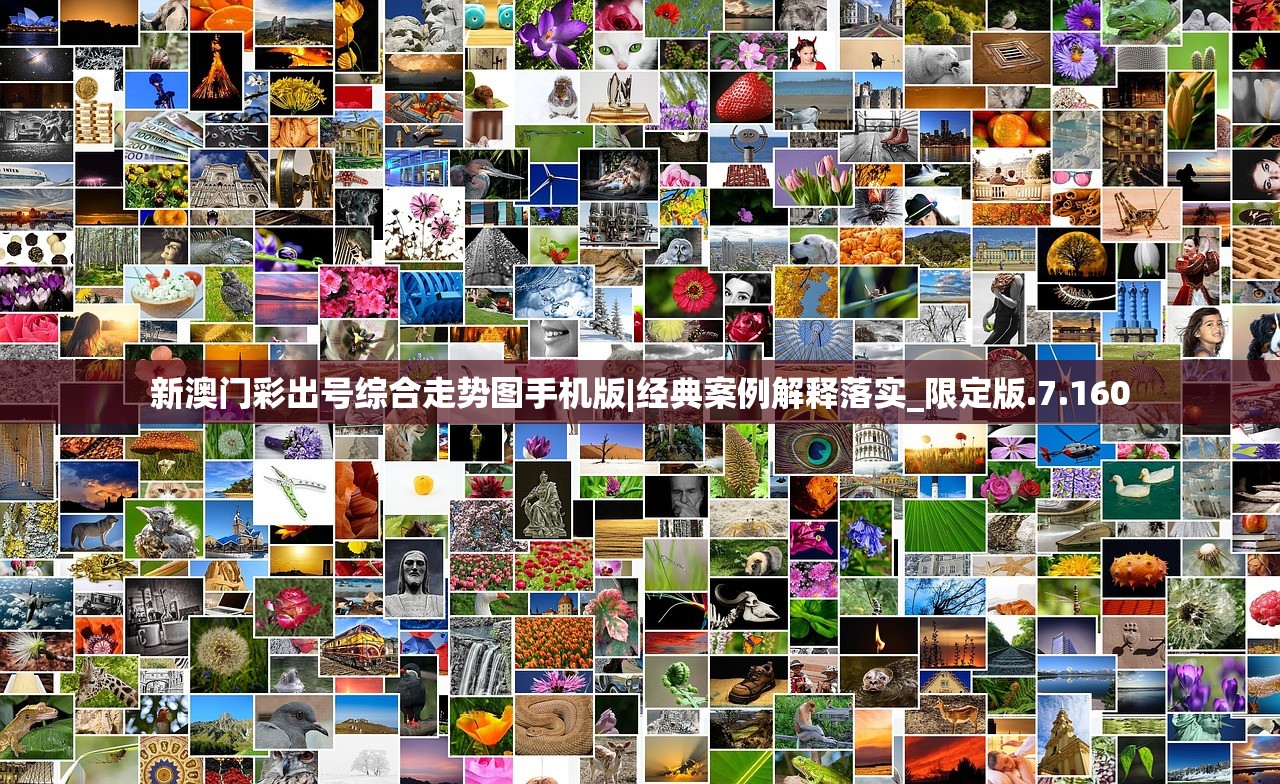 新澳门彩出号综合走势图手机版|经典案例解释落实_限定版.7.160