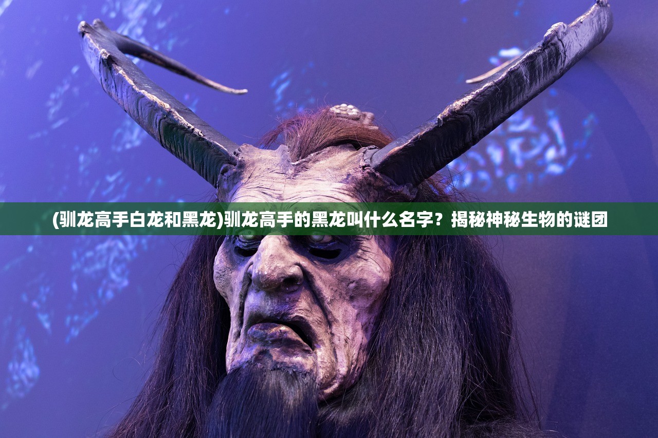 (驯龙高手白龙和黑龙)驯龙高手的黑龙叫什么名字？揭秘神秘生物的谜团