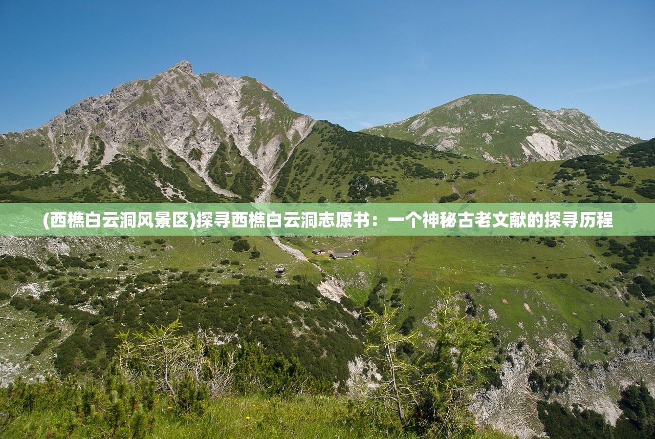 (整容液动画版)整容液动画，探索虚拟美容的奇幻之旅