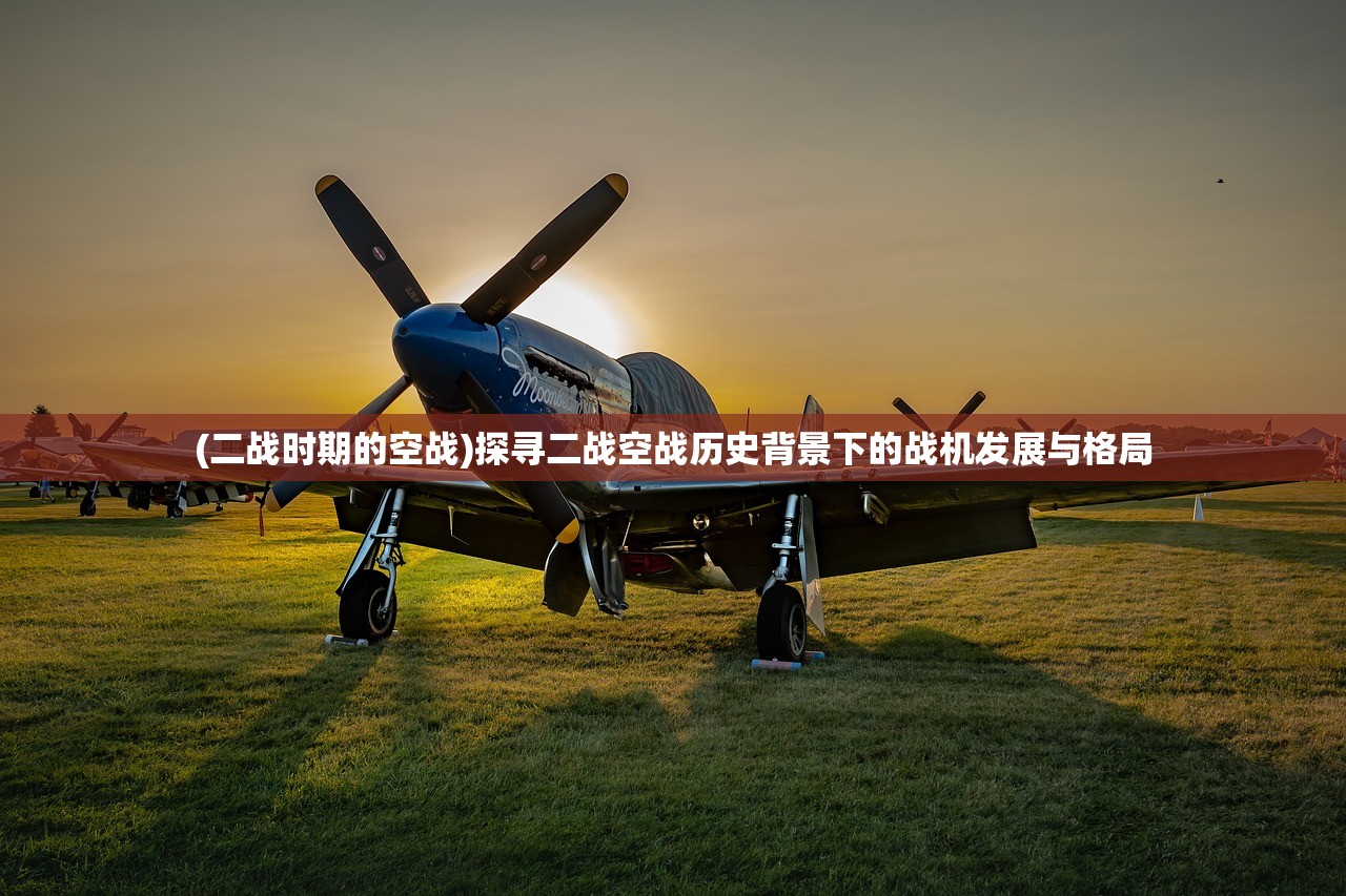 (二战时期的空战)探寻二战空战历史背景下的战机发展与格局