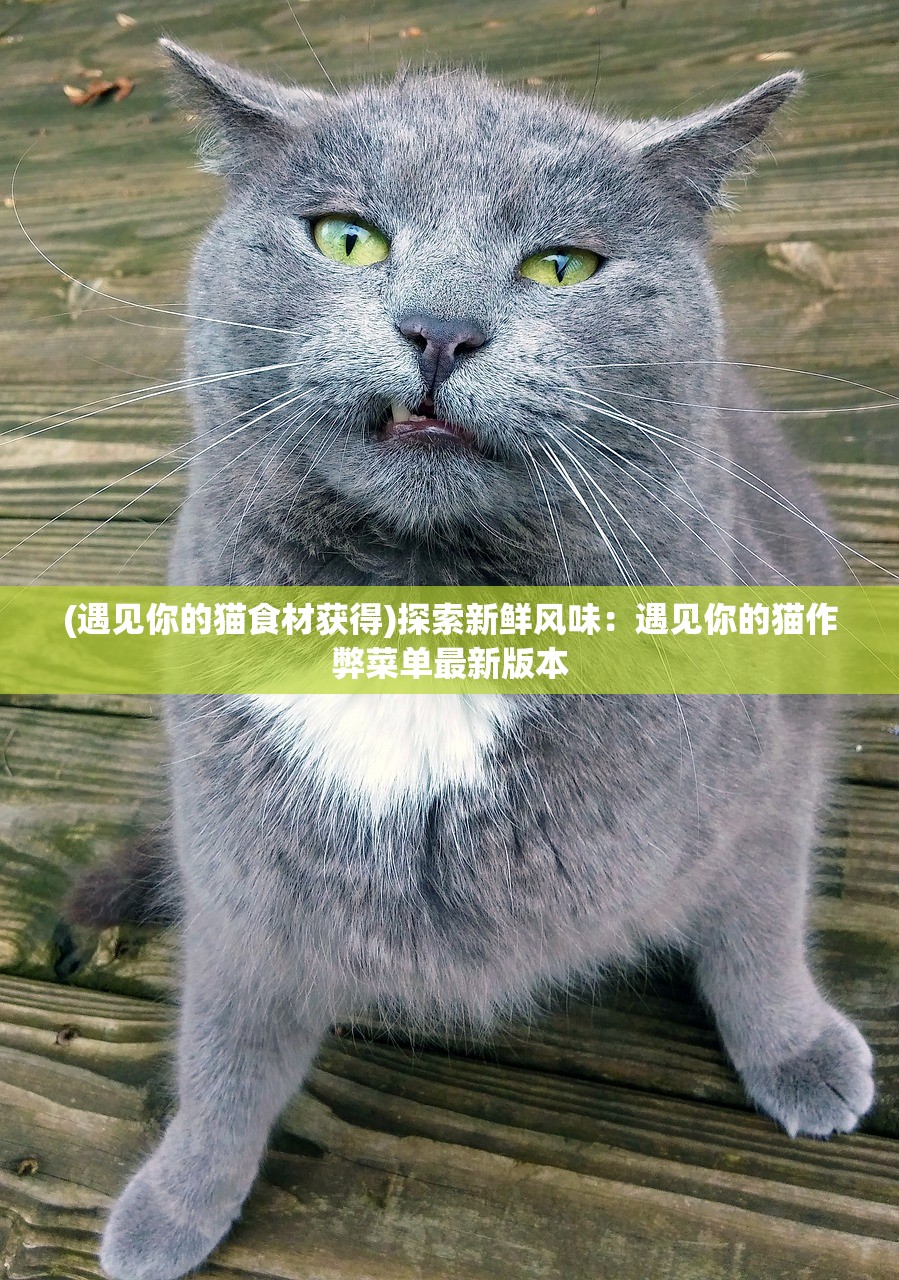 (少年冒险王免费听全集)少年冒险王，免费畅听冒险之旅