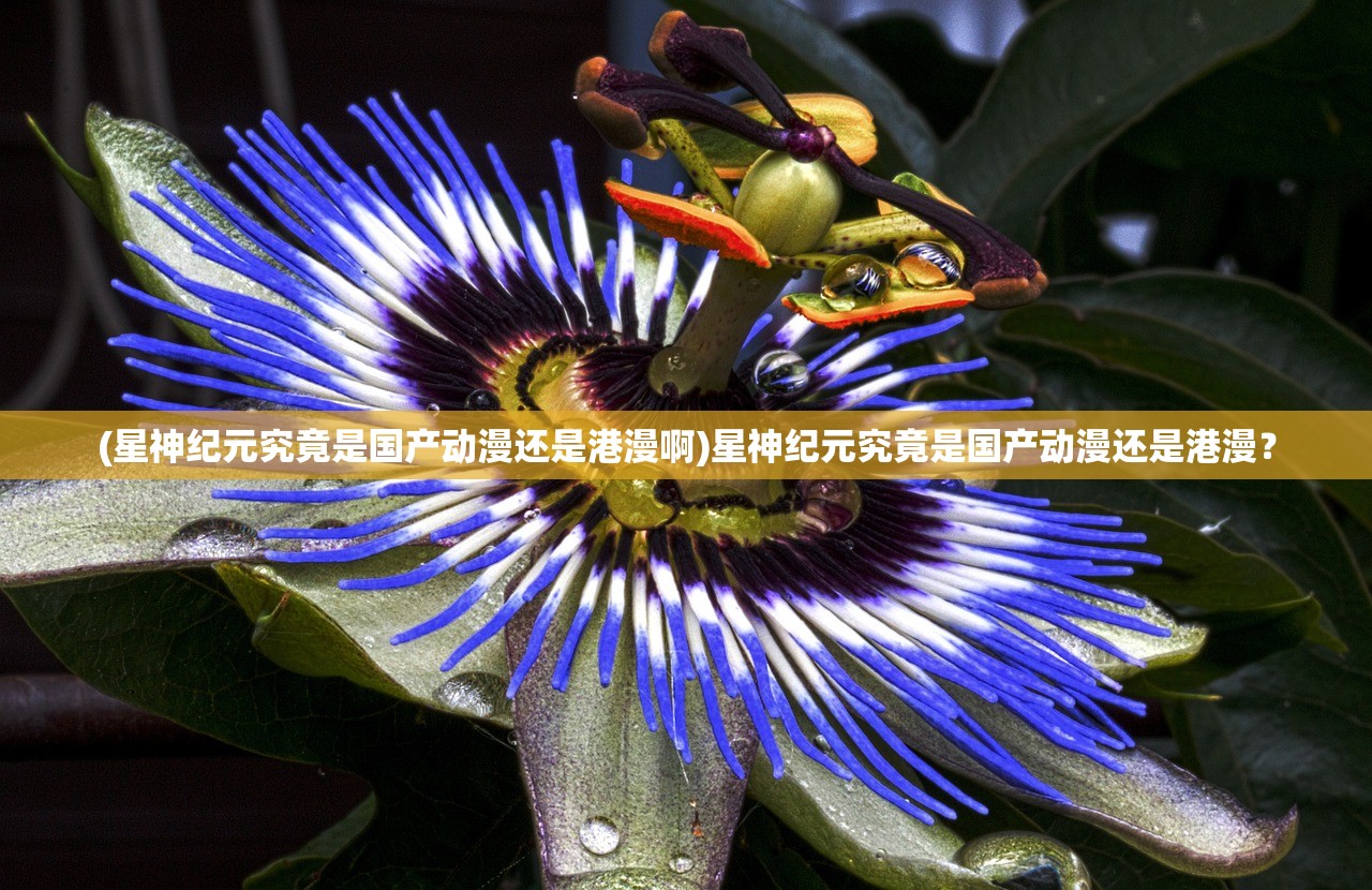 (星神纪元究竟是国产动漫还是港漫啊)星神纪元究竟是国产动漫还是港漫？