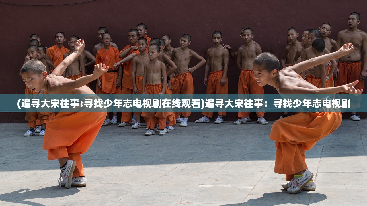 (追寻大宋往事:寻找少年志电视剧在线观看)追寻大宋往事：寻找少年志电视剧