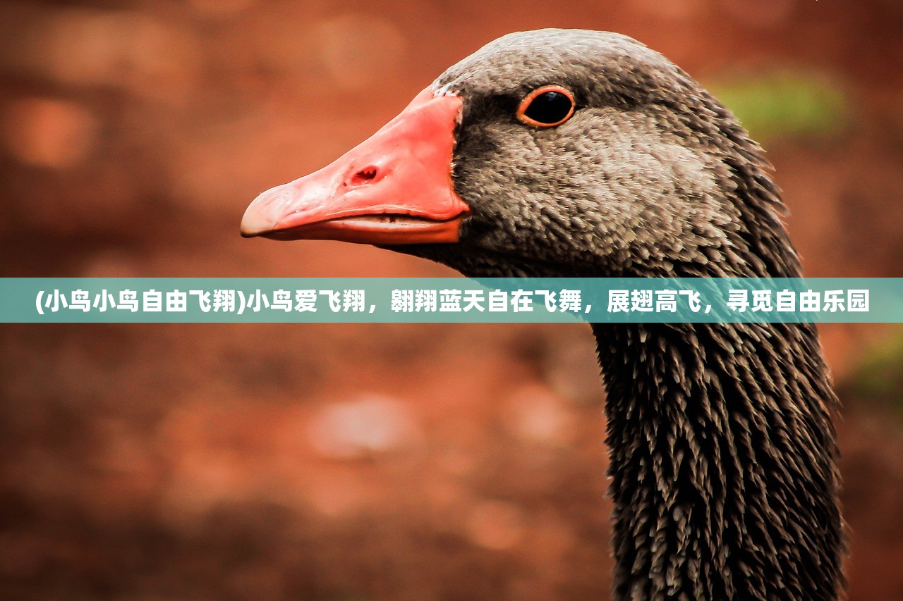 (斗破苍穹三年之约手游破解版)斗破苍穹三年之约手游，深度探索与独特体验
