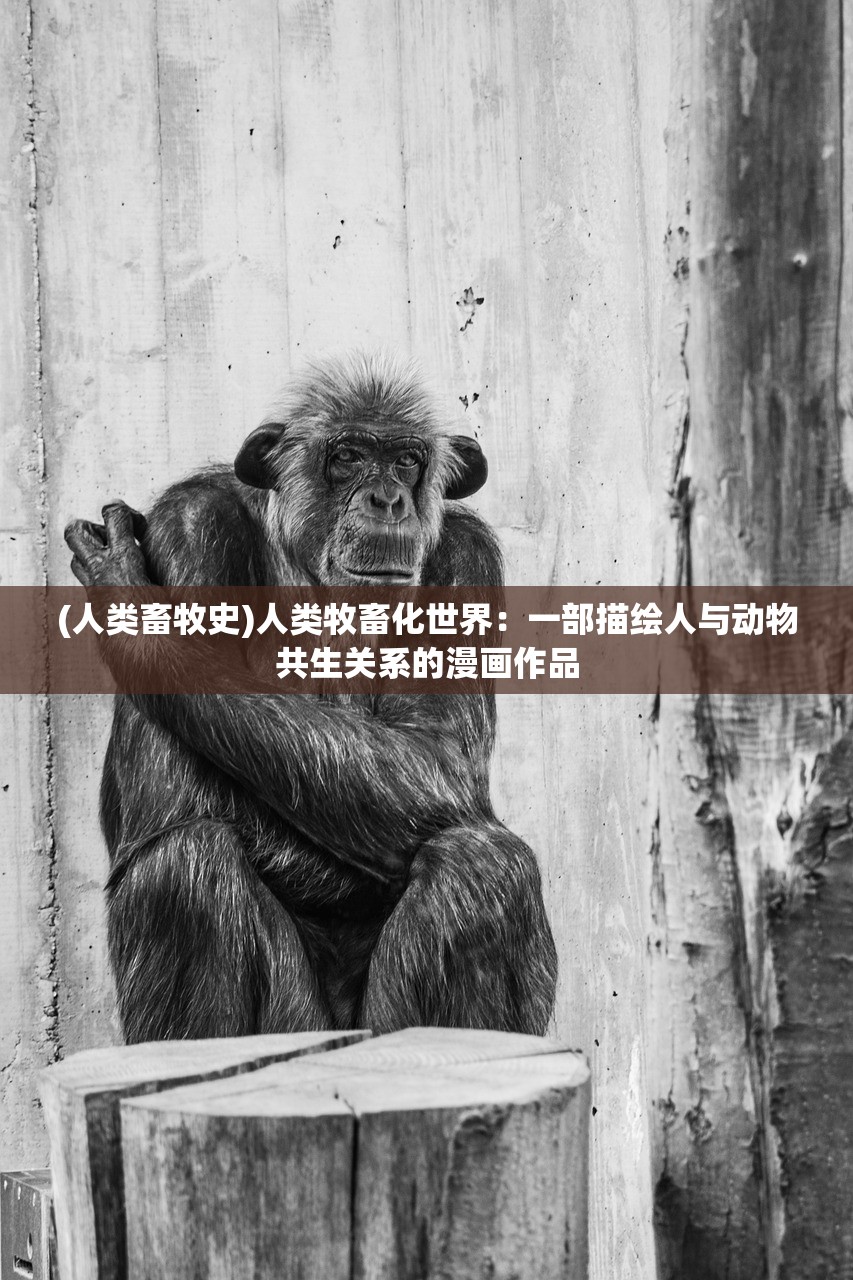 狂飙徐江干高启兰：风云际会，挽抢山河