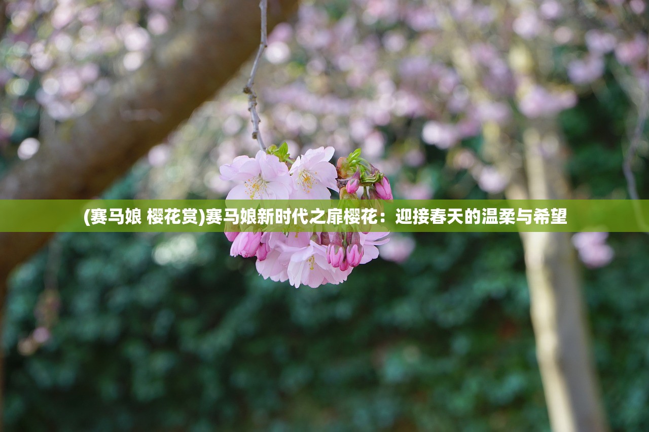 (赛马娘 樱花赏)赛马娘新时代之扉樱花：迎接春天的温柔与希望