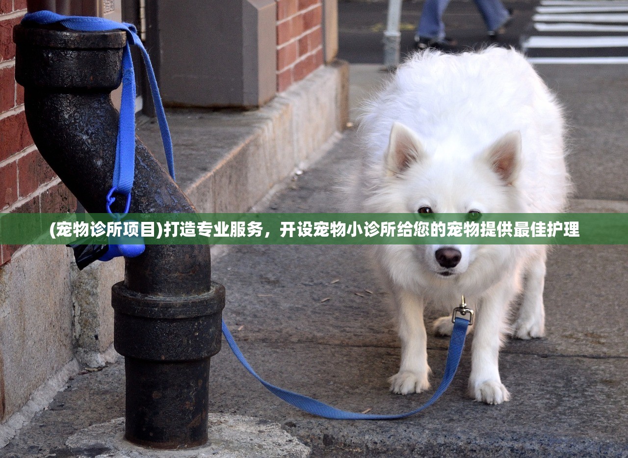 (赤焰号角攻略)赤焰号角游戏攻略，玩转这个热血战场