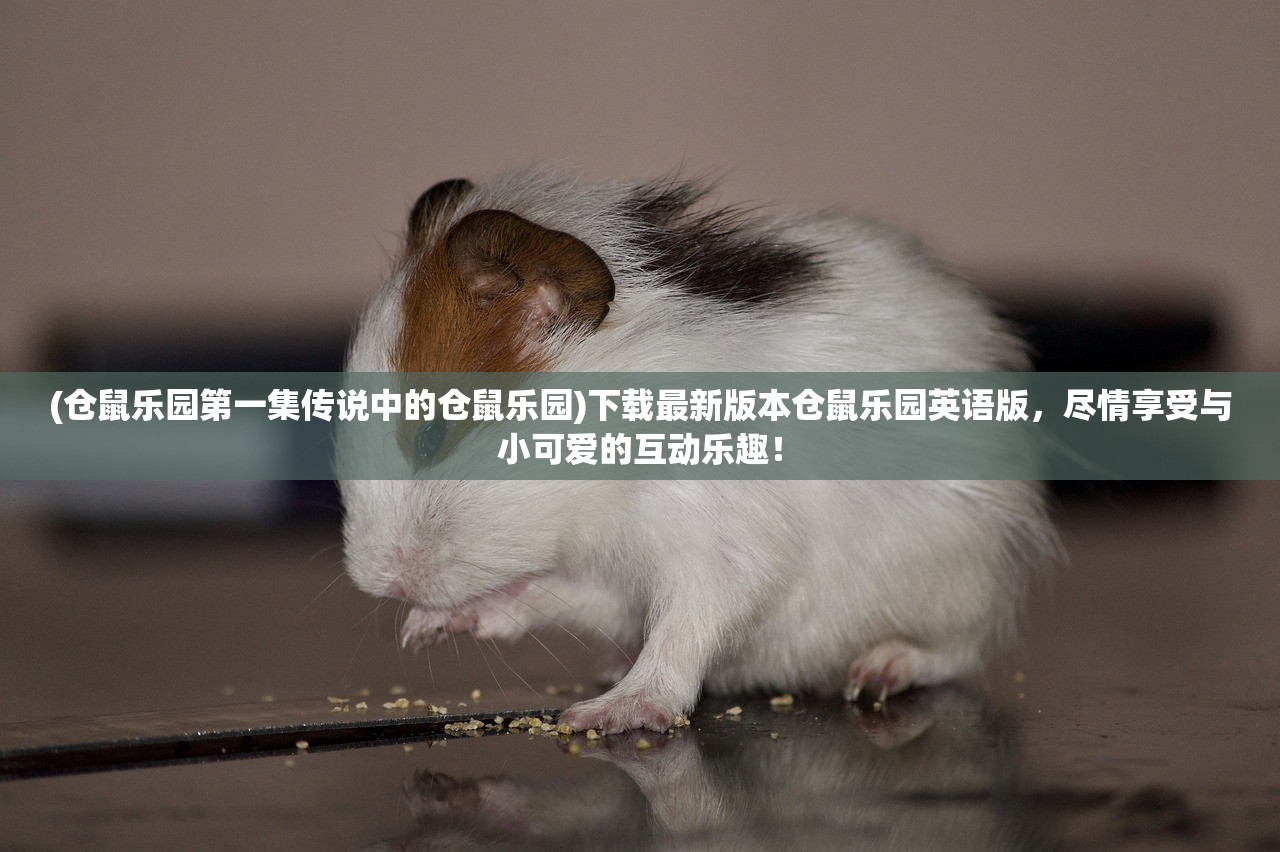 (仓鼠乐园第一集传说中的仓鼠乐园)下载最新版本仓鼠乐园英语版，尽情享受与小可爱的互动乐趣！