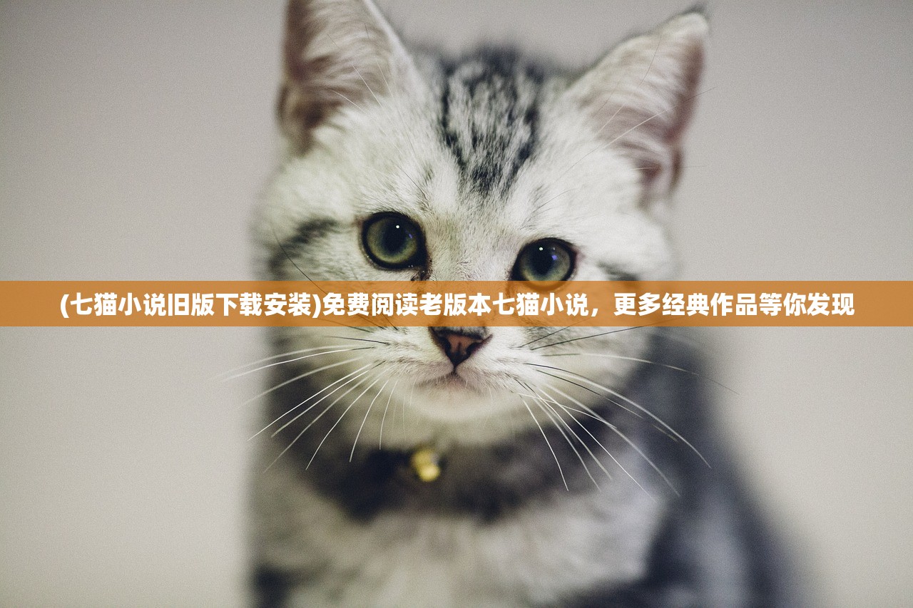 (七猫小说旧版下载安装)免费阅读老版本七猫小说，更多经典作品等你发现