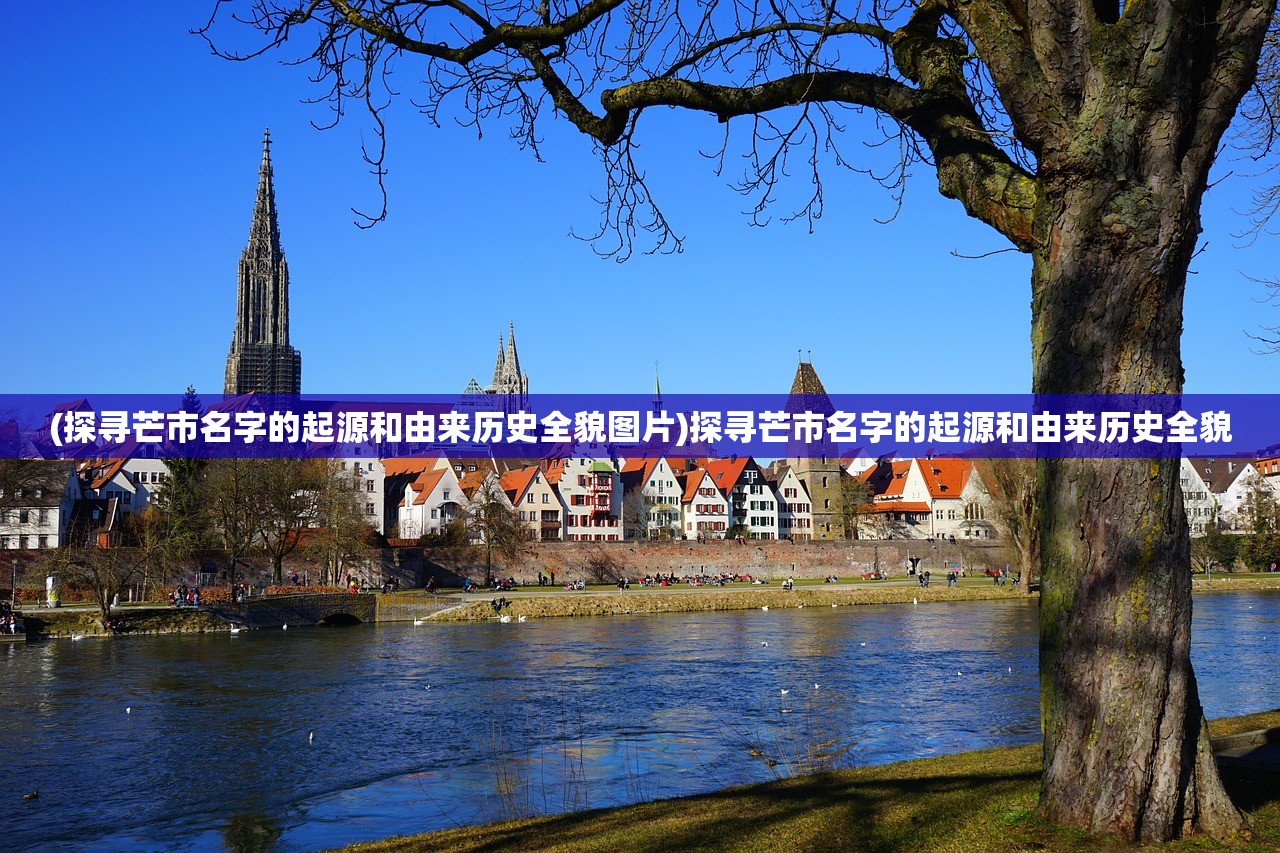 (探寻芒市名字的起源和由来历史全貌图片)探寻芒市名字的起源和由来历史全貌