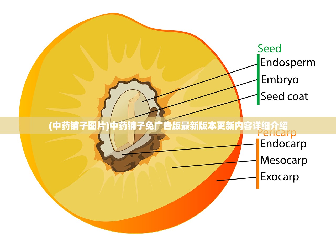 (狂神无双手游官方2024)狂神无双手游官方，探索全新游戏世界