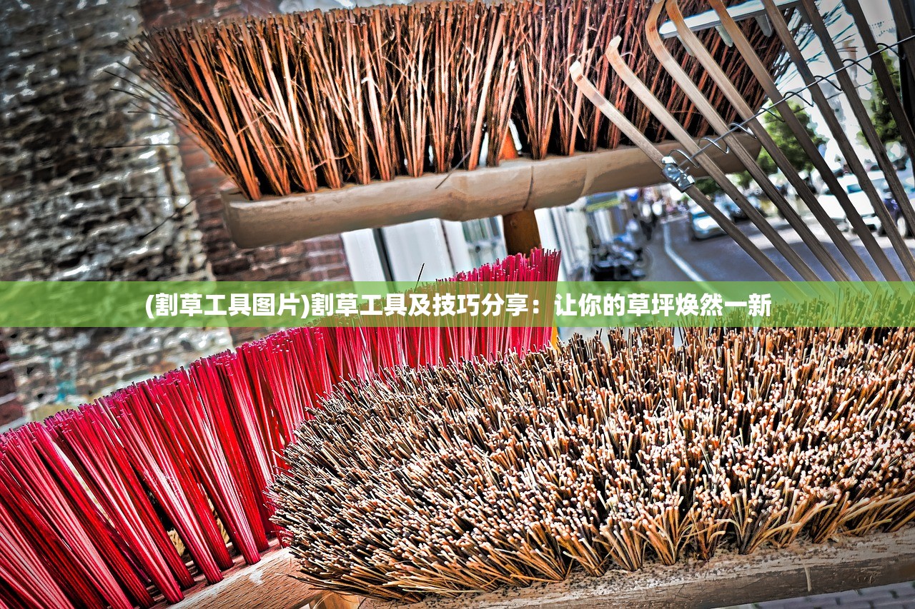 (割草工具图片)割草工具及技巧分享：让你的草坪焕然一新