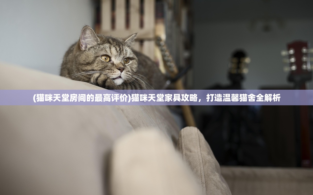 (猫咪天堂房间的最高评价)猫咪天堂家具攻略，打造温馨猫舍全解析