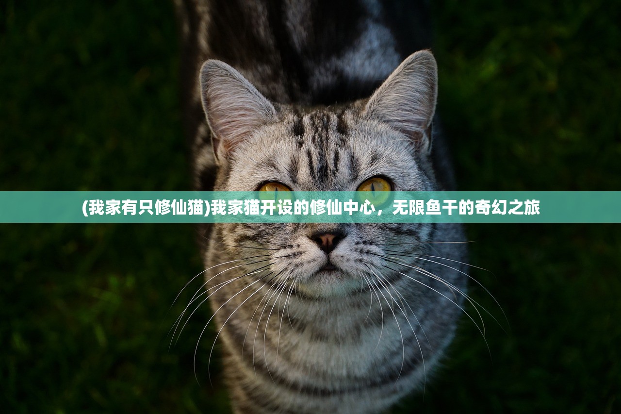 (我家有只修仙猫)我家猫开设的修仙中心，无限鱼干的奇幻之旅