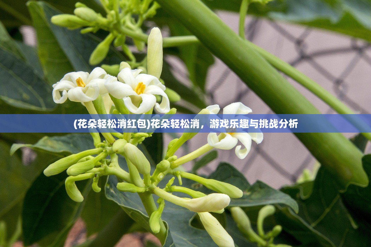 (花朵轻松消红包)花朵轻松消，游戏乐趣与挑战分析