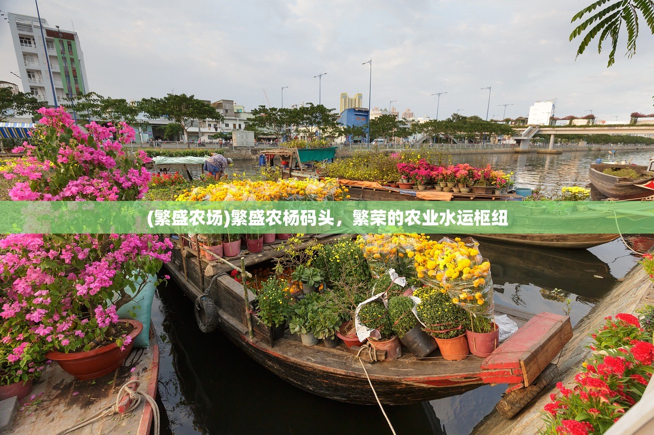 (繁盛农场)繁盛农杨码头,繁荣的农业水运枢纽 (繁盛农场)繁盛农杨码头,繁荣的农业水运枢纽