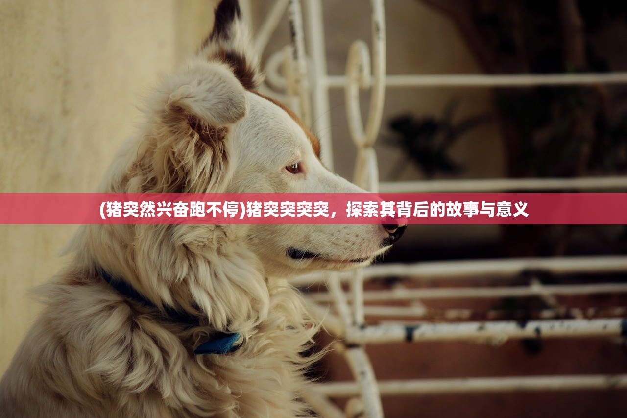 (猪突然兴奋跑不停)猪突突突突,探索其背后的故事与意义 (猪突然兴奋跑不停)猪突突突突,探索其背后的故事与意义