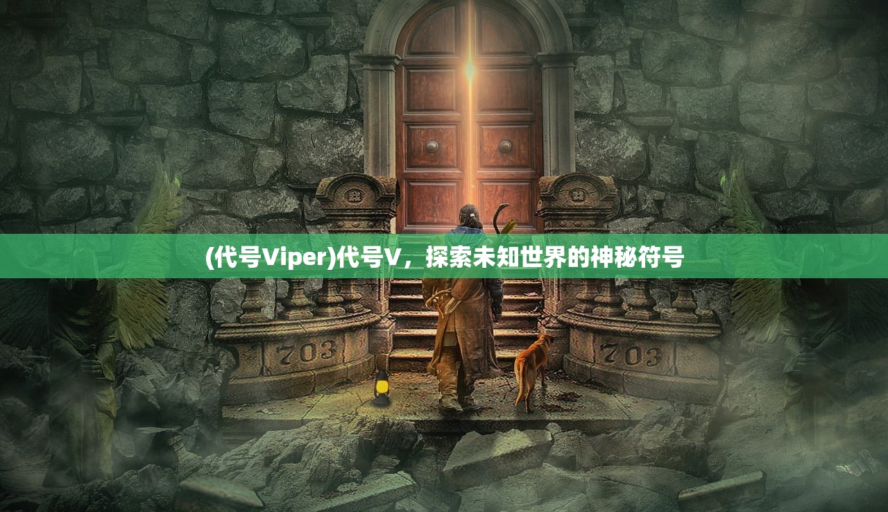 (代号Viper)代号V,探索未知世界的神秘符号 (代号Viper)代号V,探索未知世界的神秘符号