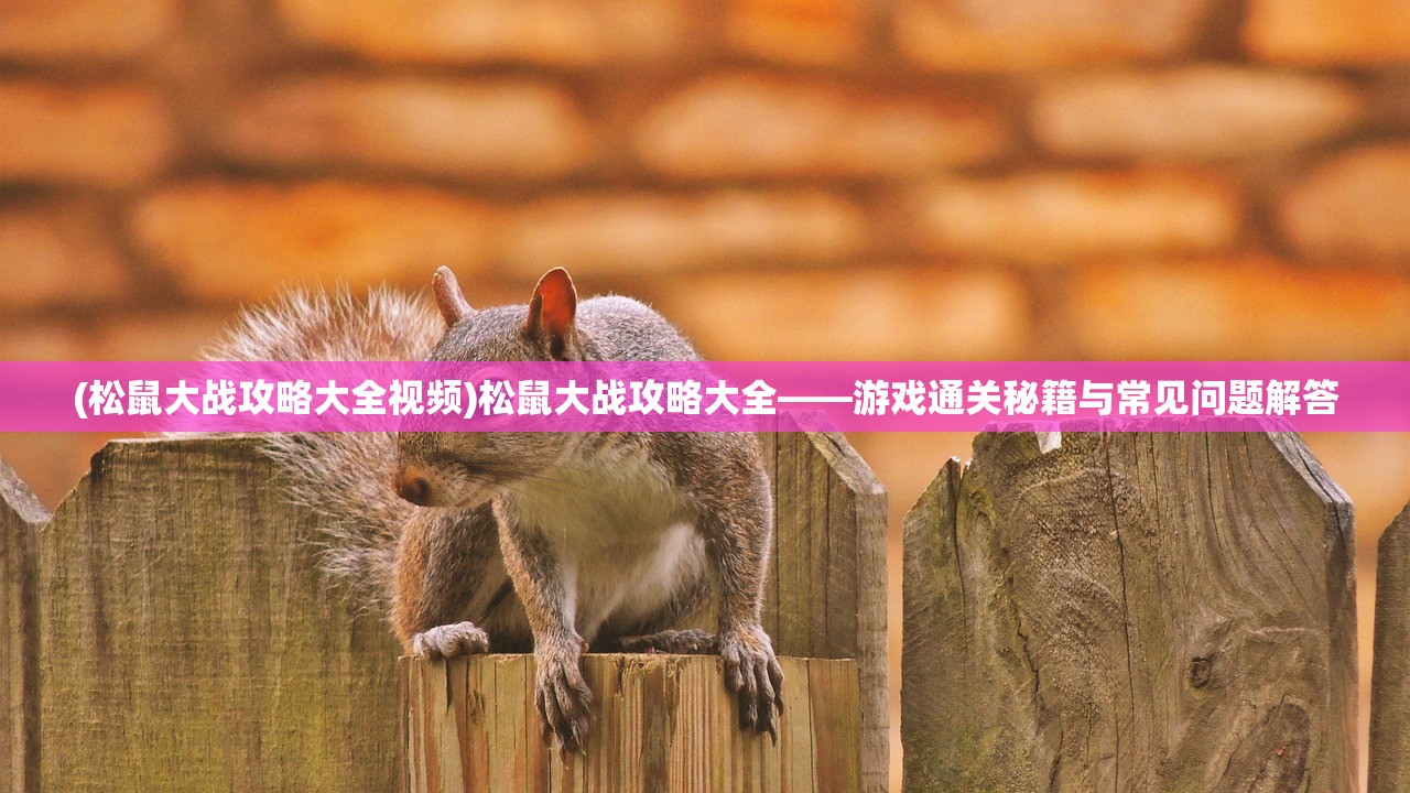 (松鼠大战攻略大全视频)松鼠大战攻略大全——游戏通关秘籍与常见问题解答