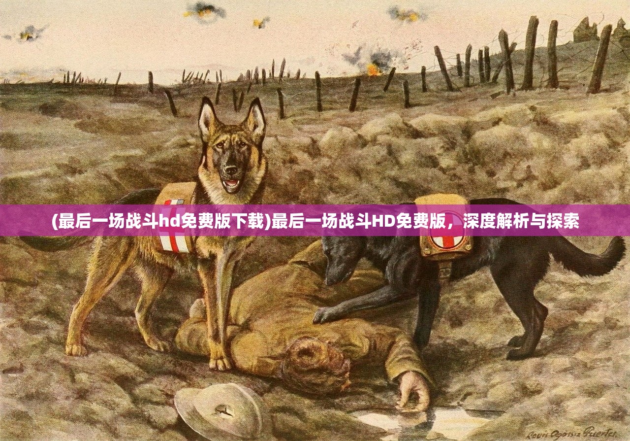 (最后一场战斗hd免费版下载)最后一场战斗HD免费版，深度解析与探索