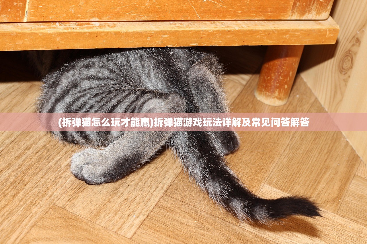 (拆弹猫怎么玩才能赢)拆弹猫游戏玩法详解及常见问答解答